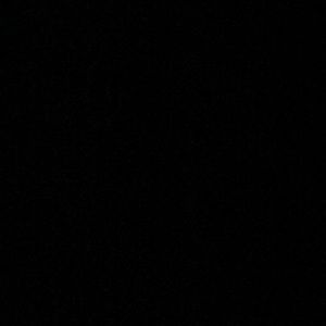 Meet your Posher, Bridget